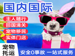 张家界荷花机场邮寄国际宠物托运 【国